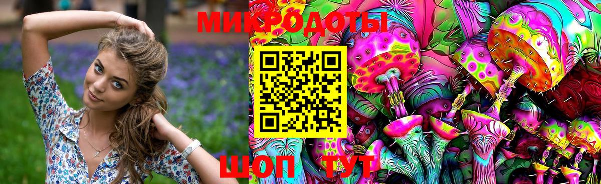 Галлюциногенные грибы Psilocybine cubensis Нижнеудинск