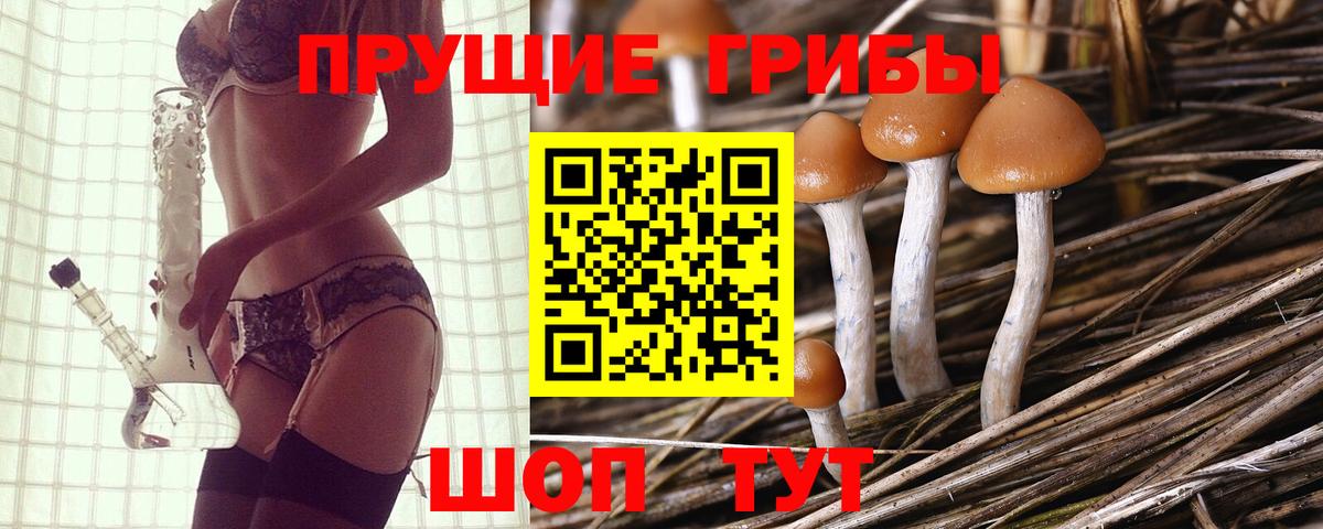 Псилоцибиновые грибы ЛСД  Вход с VPN  Нижнеудинск  Галлюциногенные грибы Magic Shrooms 